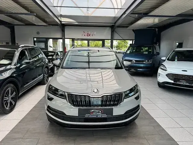 Gebraucht Skoda Karoq Ambition 116 PS (85 kW) 2019 Grau SUV