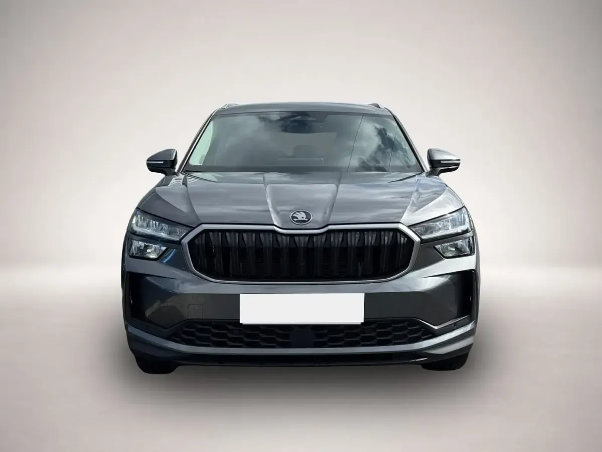 Gebraucht Skoda Kodiaq Selection 193 PS (141 kW) 2026 SUV