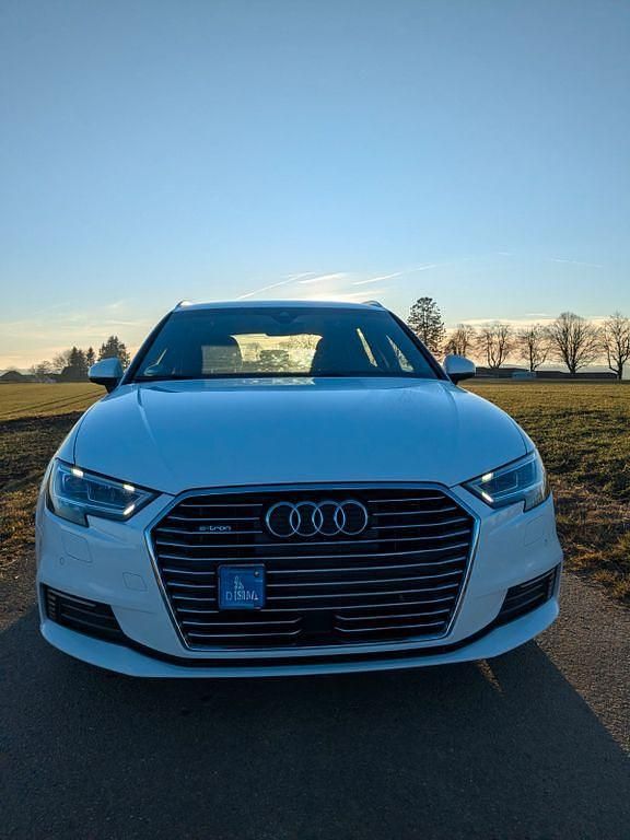 Gebraucht Audi e-tron 204 PS (150 kW) 2019 Weiß SUV