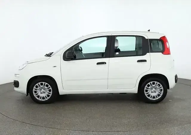 Neu Fiat Panda Connect 71 PS (52 kW) 2025 Gelatoweiss Kleinwagen