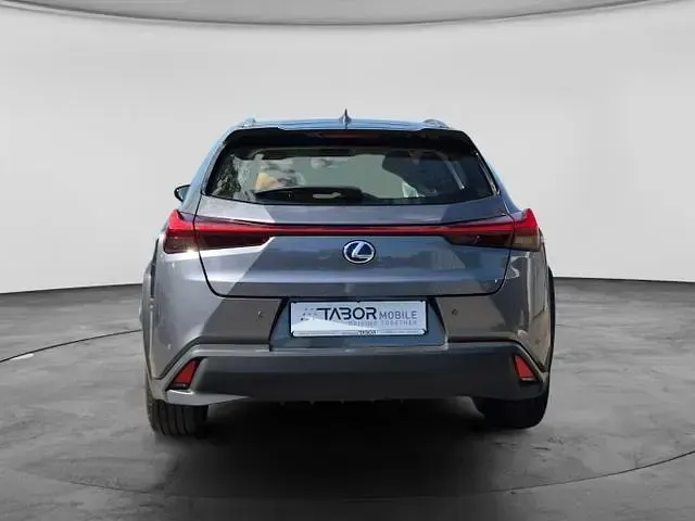 Gebraucht Lexus UX Luxury Line 178 PS (130 kW) 2019 Mercury grey metallic mercury grey metallic SUV