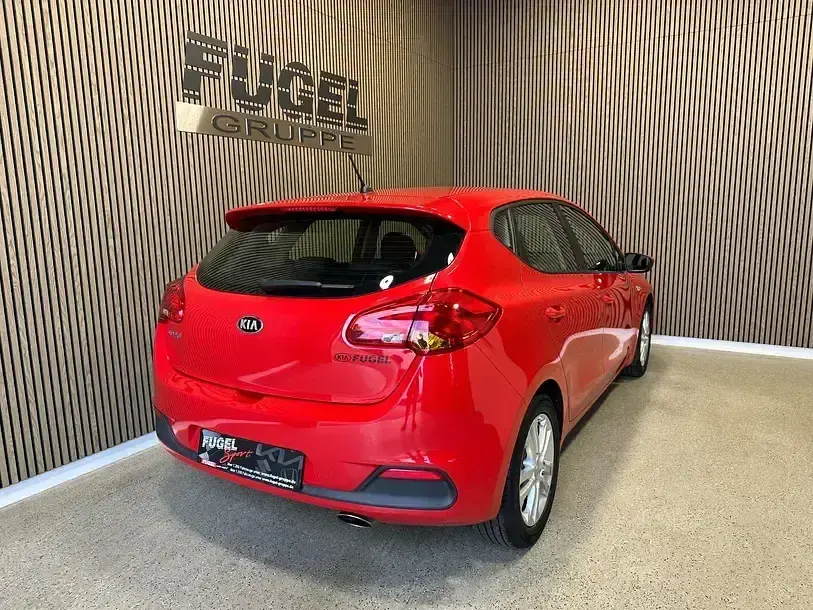 Usado Kia Ceed Edition 7 90 CV (66 kW) 2014 Rojo Utilitario