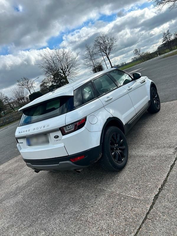 Gebraucht Land Rover Range Rover evoque 150 PS (110 kW) 2016 Weiß SUV