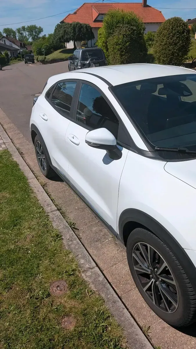 Usata Ford Puma Titanium 125 CV (91 kW) 2020 Bianco SUV