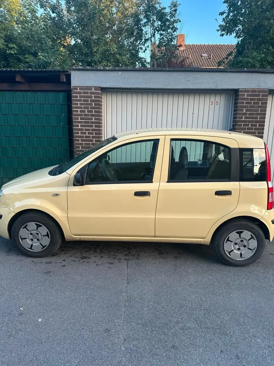 Gebraucht Fiat Panda 54 PS (39 kW) 2009 Gelb Kleinwagen