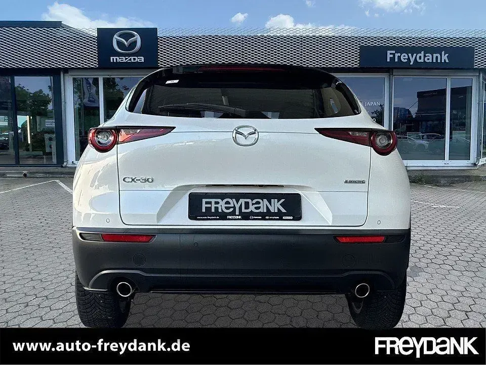 Gebraucht Mazda CX-30 Exclusive-Line 122 PS (89 kW) 2024 Snowflake white pearl SUV