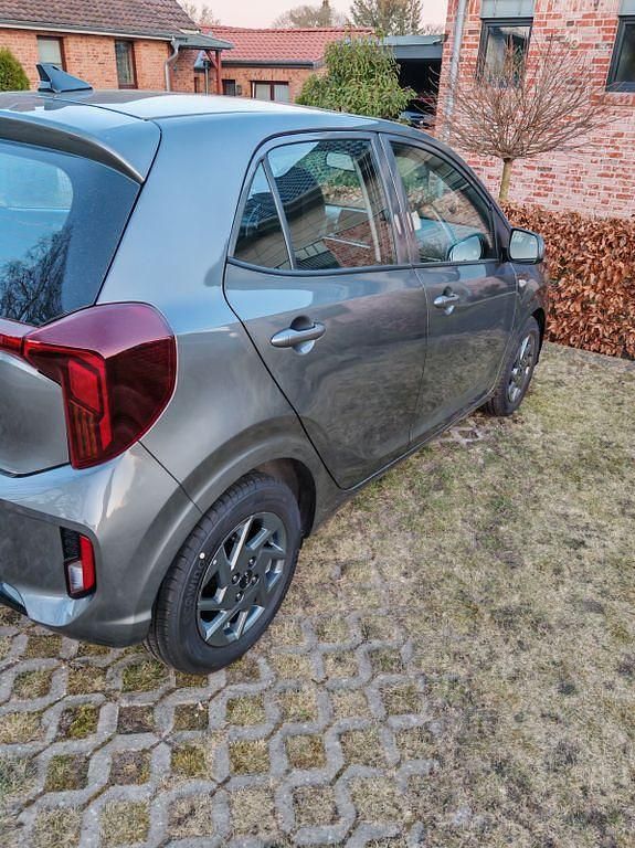 Neu Kia Picanto Vision 63 PS (46 kW) 2025 Grau Kleinwagen