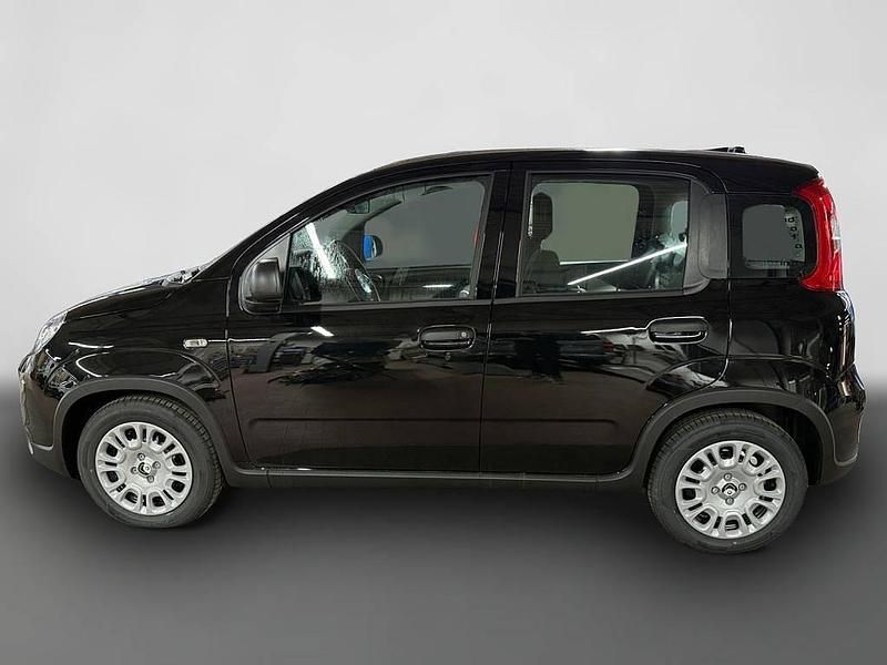 Gebraucht Fiat Panda 69 PS (50 kW) 2024 Schwarz Kleinwagen