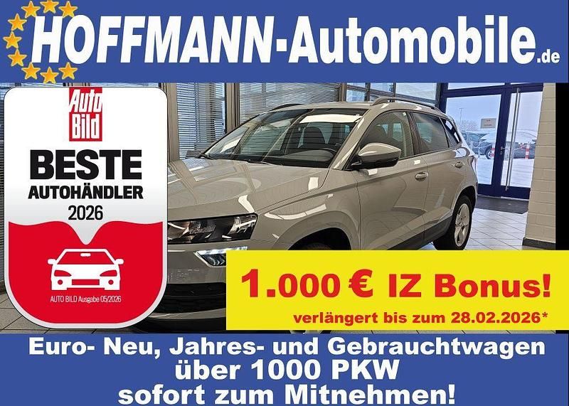 Gebraucht Skoda Karoq Ambition 150 PS (110 kW) 2020 Grau SUV