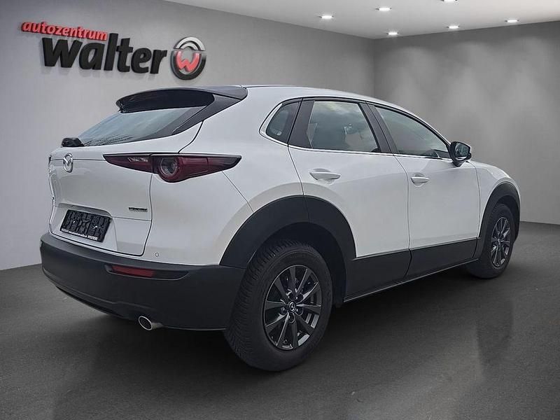 Gebraucht Mazda CX-30 122 PS (89 kW) 2023 Weiß SUV