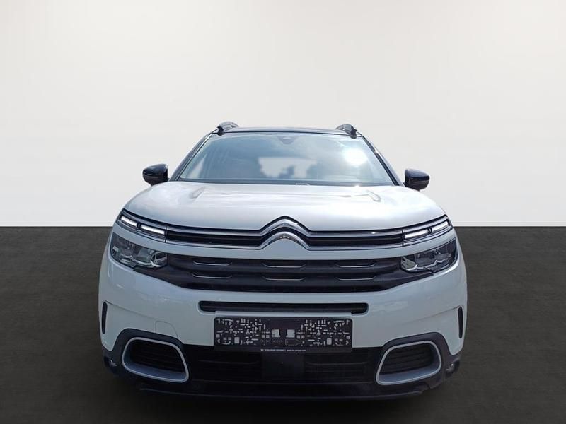 Gebraucht Citroën C5 Aircross Feel 131 PS (96 kW) 2022 Perlmutt weiß SUV