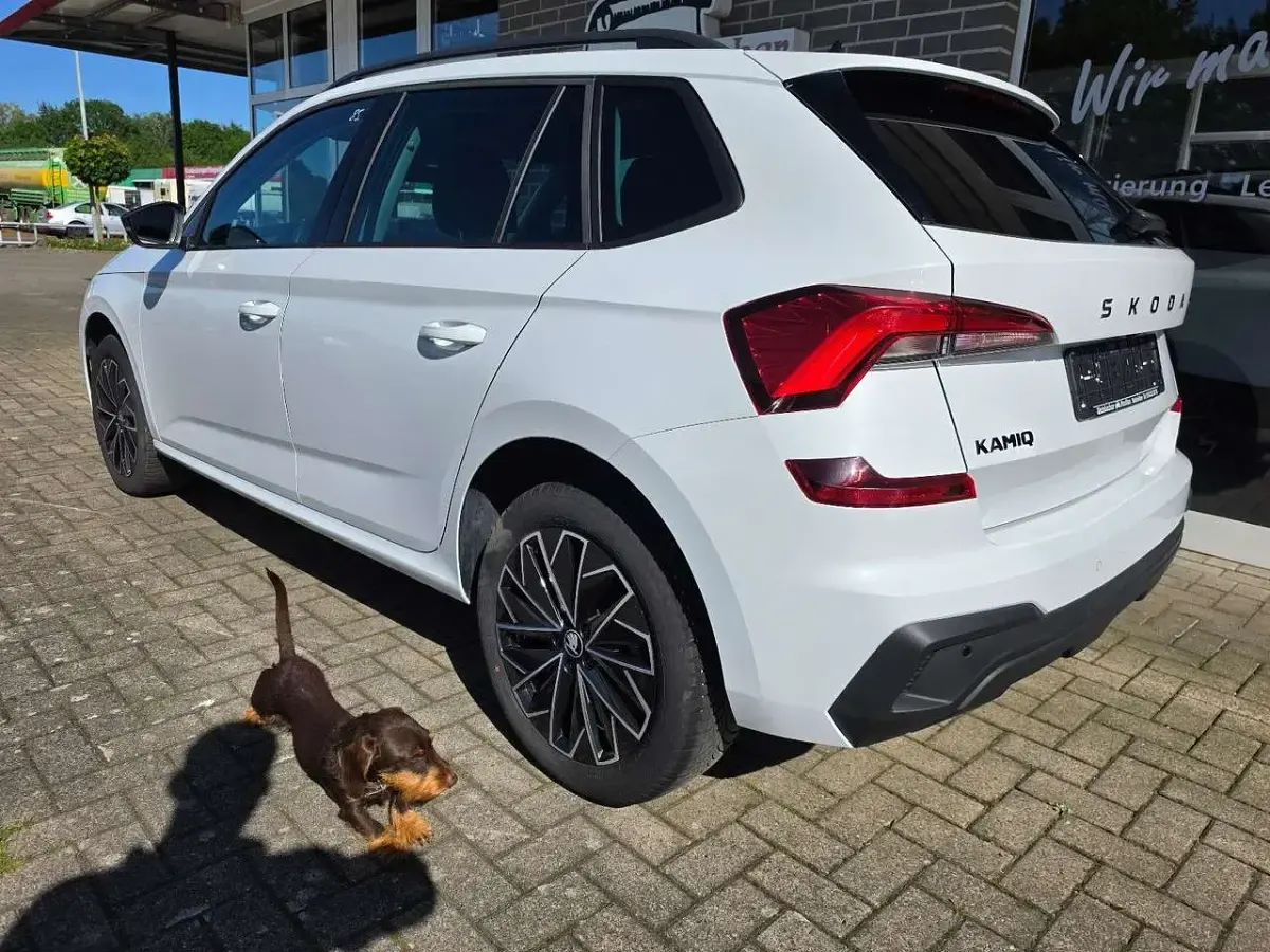 Gebraucht Skoda Kamiq Selection 116 PS (85 kW) 2025 Moonweiß metallic SUV