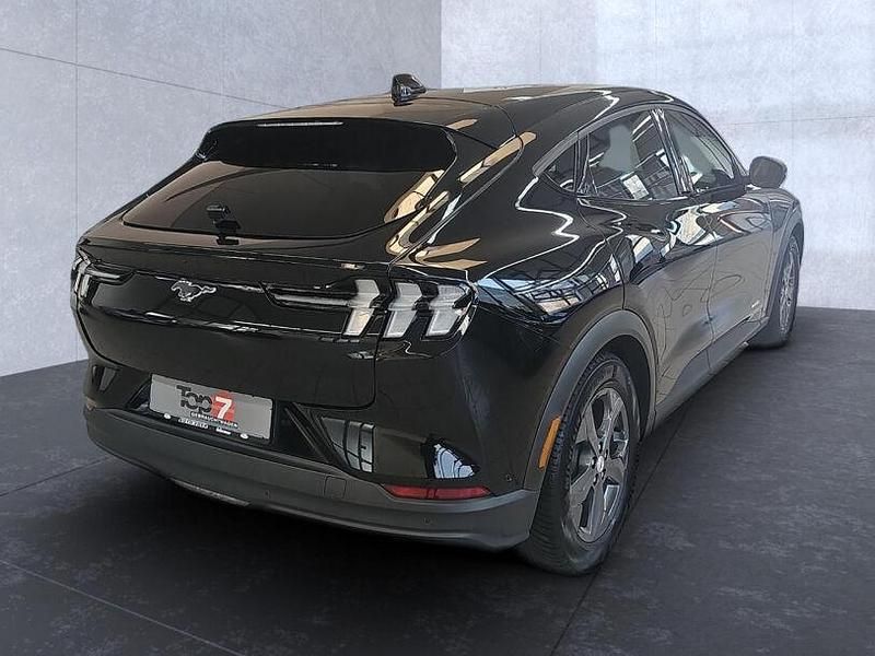 Gebraucht Ford Mustang Mach-E Basis 197 kW (269 PS) 2023 Iridiumschwarz (metallic) SUV