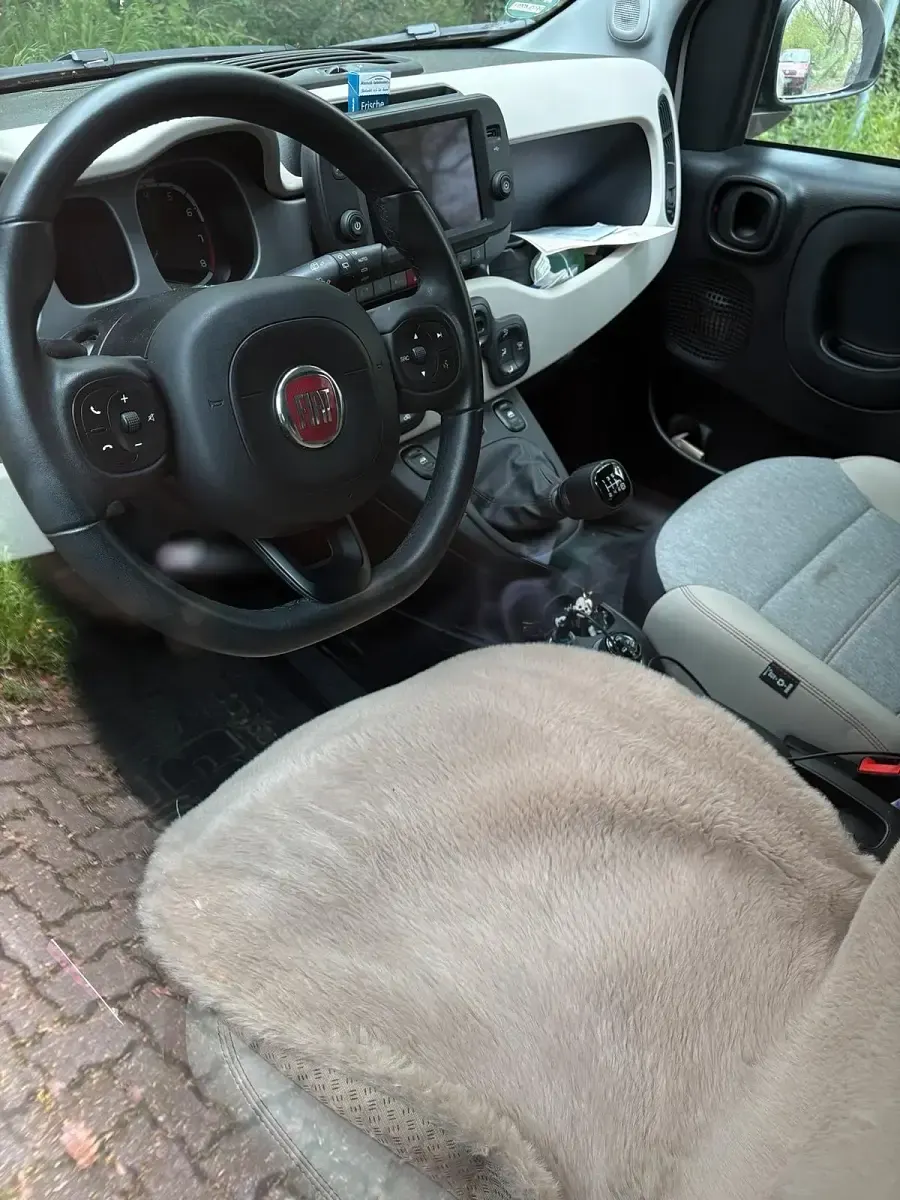 Occasion Fiat Panda 85 ch (62 kW) 2024 Beige Citadine