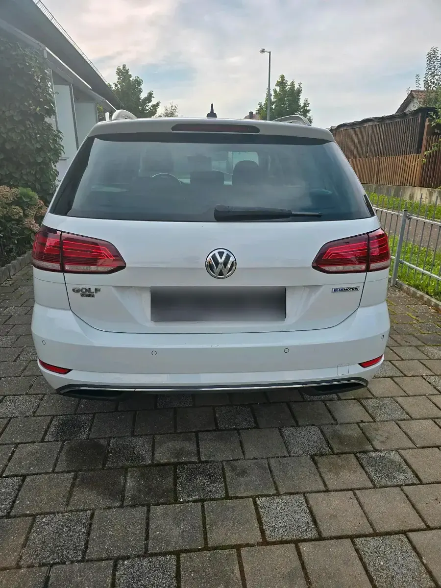 Gebraucht VW Golf VII 131 PS (96 kW) 2019 Weiß Kombi