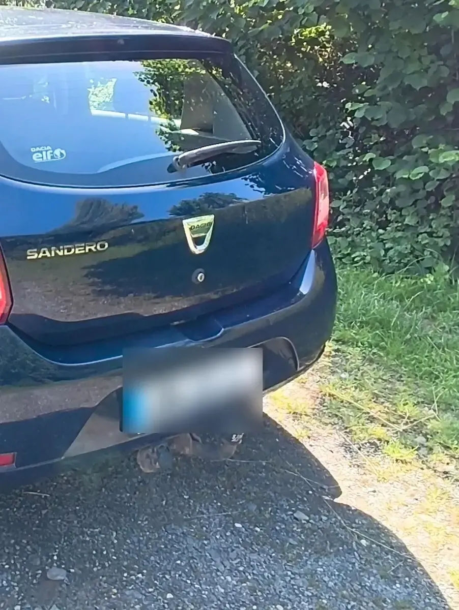 Gebraucht Dacia Sandero 73 PS (53 kW) 2016 Blau Kleinwagen