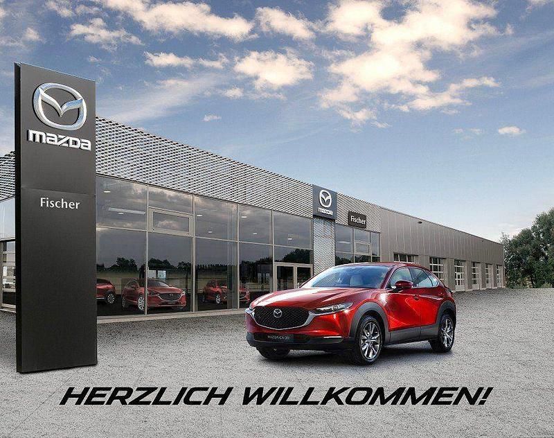 Gebraucht Mazda CX-30 Selection 150 PS (110 kW) 2022 Blau SUV