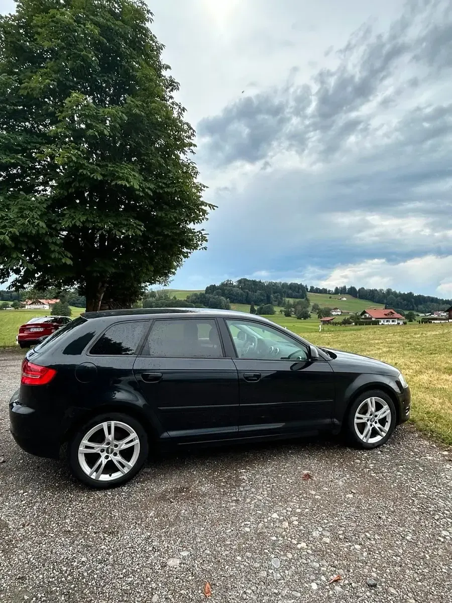 Gebraucht Audi A3 Ambition 140 PS (102 kW) 2009 Schwarz Kleinwagen