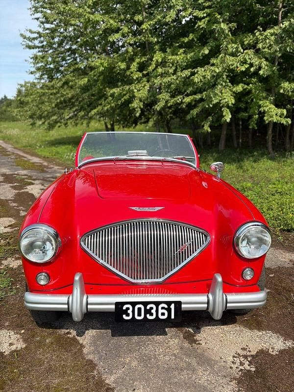 Brugt Austin Healey 100 90 HK (66 kW) 1954 Rød Cabriolet