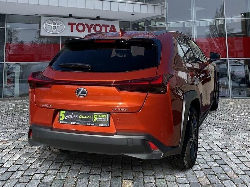 Gebraucht Lexus UX 184 PS (135 kW) 2022 Andere SUV