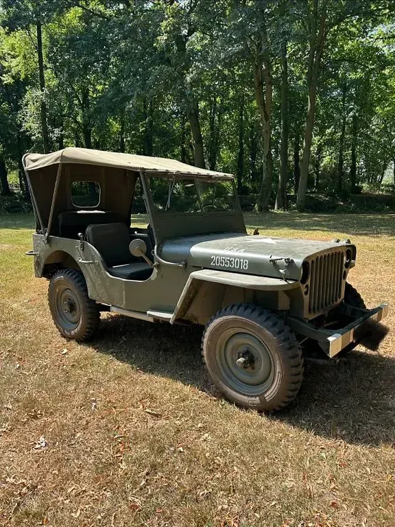 Gebraucht Jeep Willys 60 PS (44 kW) 1971 Grün SUV