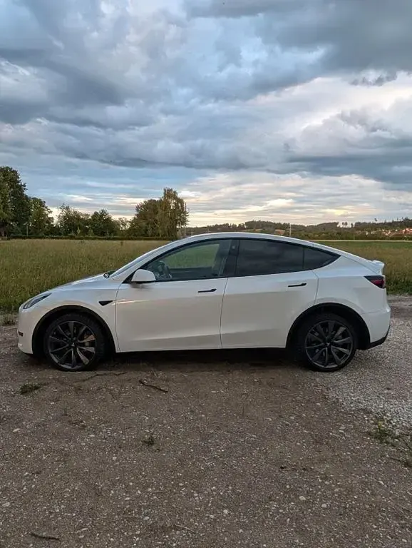 Gebraucht Tesla Model Y Standard Range 219 kW (299 PS) 2023 Weiß SUV