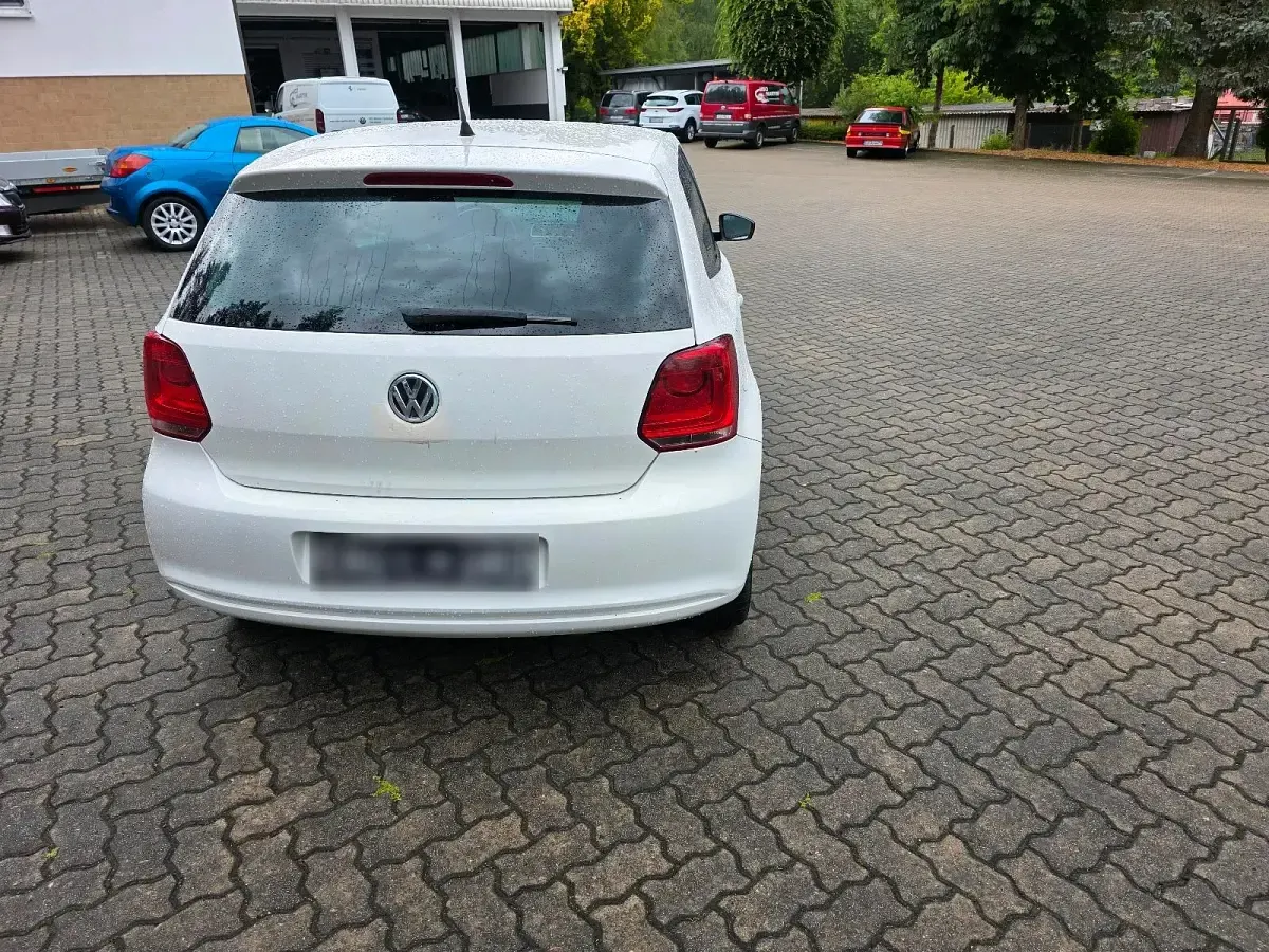 Gebraucht VW Polo 79 PS (58 kW) 2011 Weiß Kleinwagen
