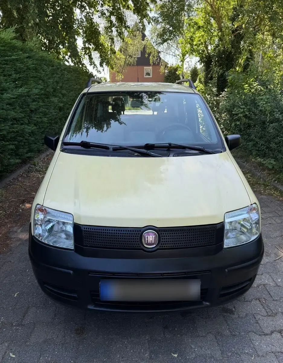 Gebraucht Fiat Panda 2009 Gelb Kleinwagen