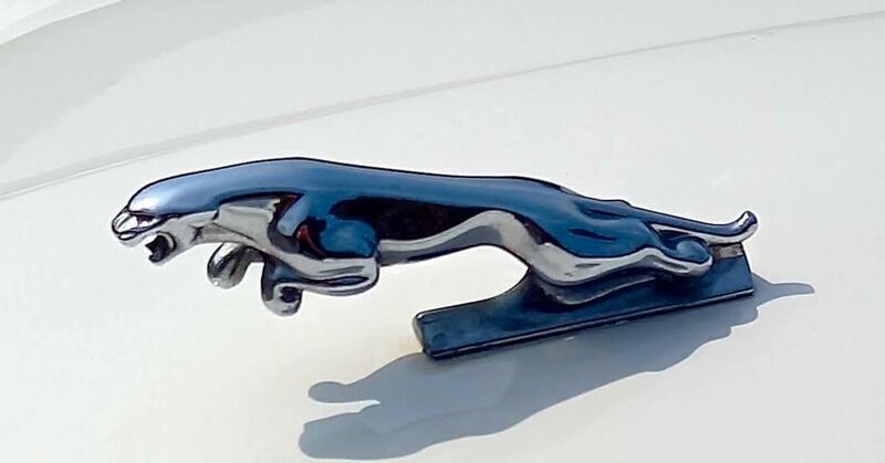 Gebraucht Jaguar XJ 295 PS (216 kW) 1984 Weiß Limousine