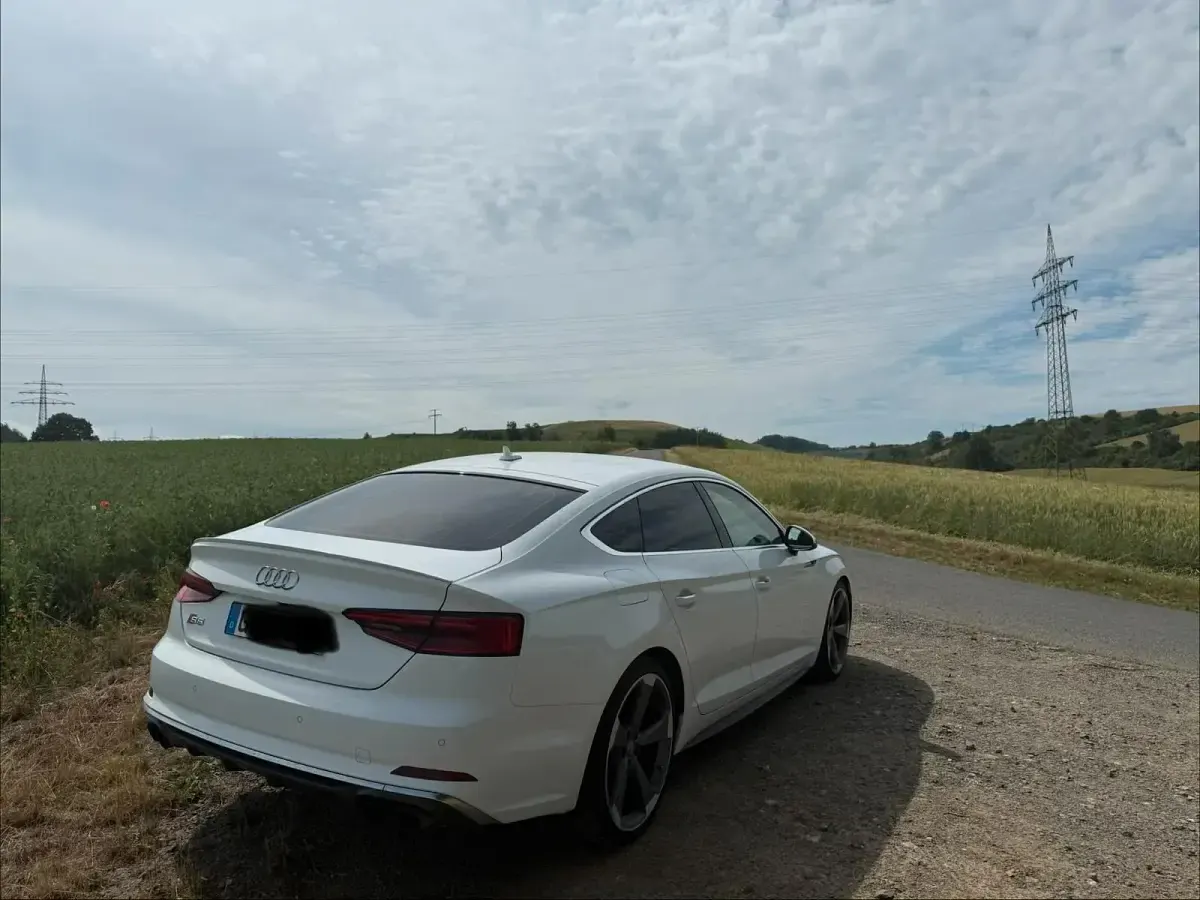 Gebraucht Audi S5 354 PS (260 kW) 2017 Weiß Coupé