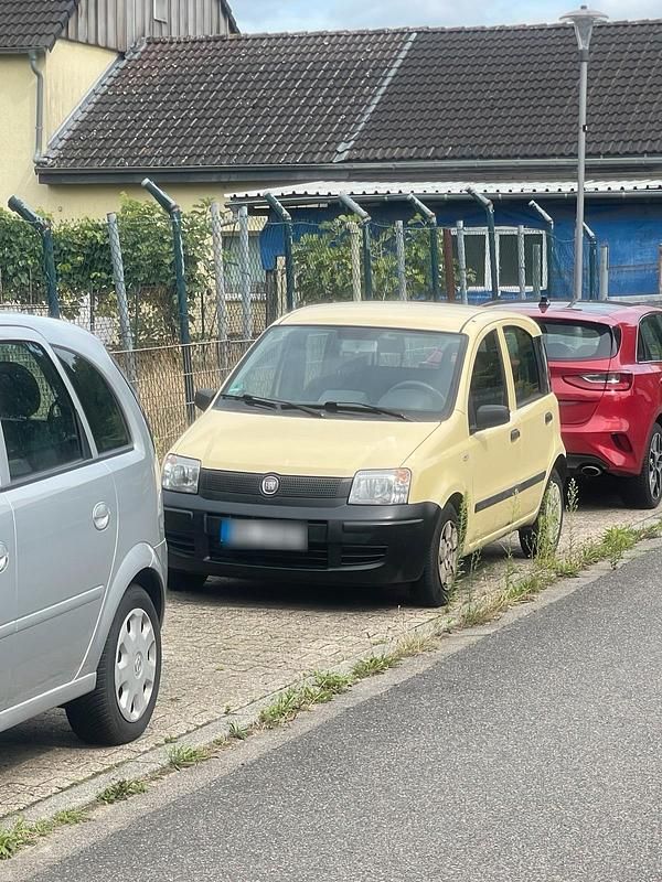 Gebraucht Fiat Panda 54 PS (39 kW) 2009 Gelb Kleinwagen