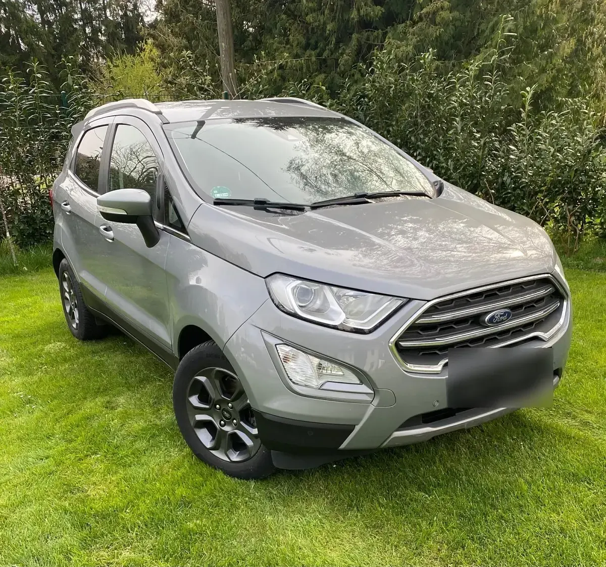 Usado Ford Ecosport Titanium 125 CV (91 kW) 2020 Gris SUV