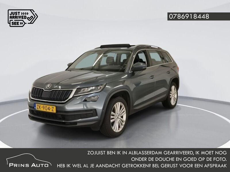 Grau Gebraucht 2019 Skoda Kodiaq Business Line SUV | 23.900 € (Teuer) - Bild 1/4