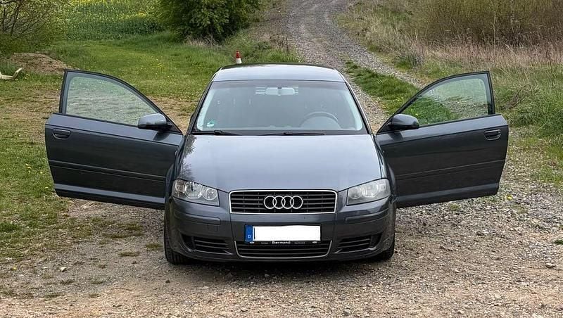 Gebraucht Audi A3 Ambiente 102 PS (75 kW) 2004 Grau Kleinwagen