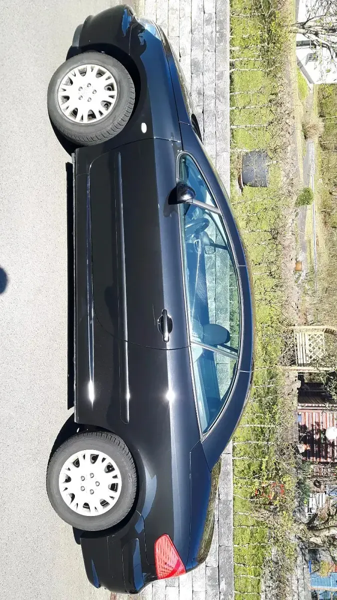 Gebraucht Peugeot 307 CC 136 PS (100 kW) 2004 Schwarz Cabrio