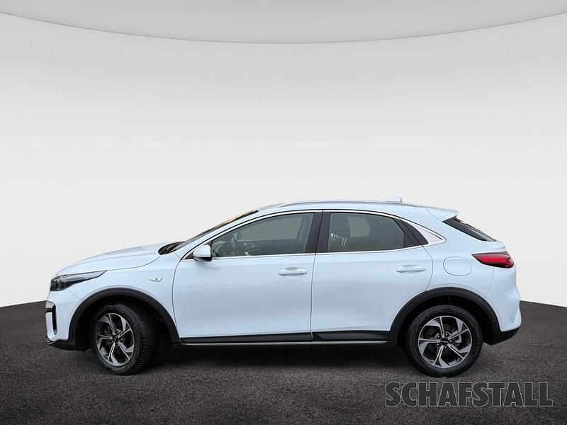 Gebraucht Kia XCeed Edition 7 120 PS (88 kW) 2024 Weiss ((wd) cararraweiss) SUV