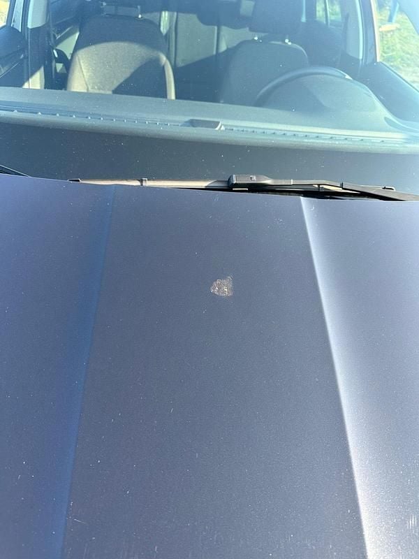 Gebraucht Skoda Octavia 150 PS (110 kW) 2020 Schwarz Kombi