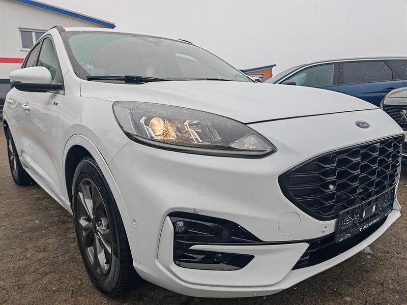 Gebraucht Ford Kuga ST-Line 190 PS (139 kW) 2023 Weiß SUV