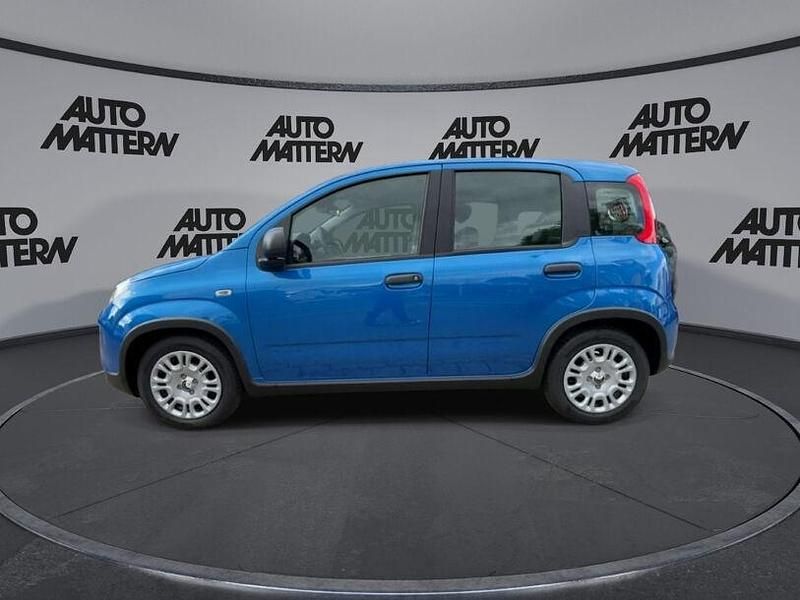 Gebraucht Fiat Panda 51 PS (37 kW) 2024 Blau Kleinwagen