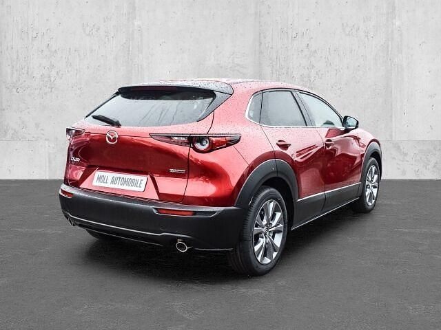Gebraucht Mazda CX-30 Exclusive 150 PS (110 kW) 2024 Rot SUV