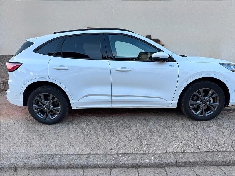 Gebraucht Ford Kuga ST-Line 225 PS (165 kW) 2023 Weiß SUV