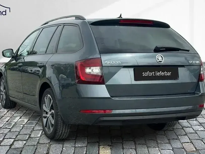 Gebraucht Skoda Octavia 116 PS (85 kW) 2017 Grau Kombi