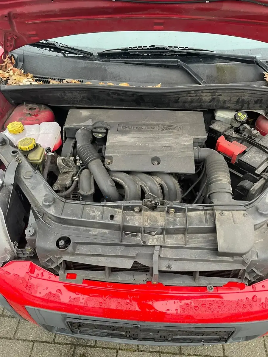 Gebraucht Ford Fusion 75 PS (55 kW) 2006 Rot Kleinwagen