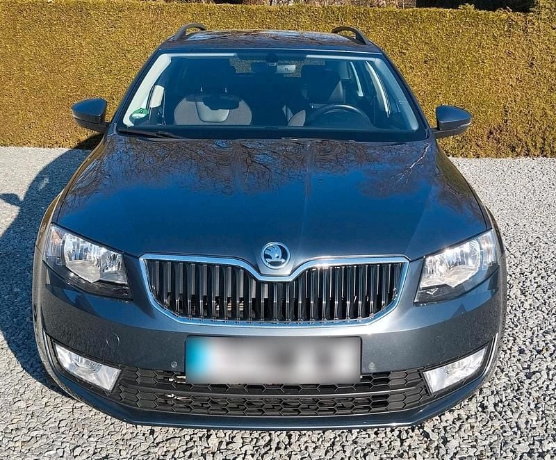 Gebraucht Skoda Octavia 150 PS (110 kW) 2017 Grau Kombi