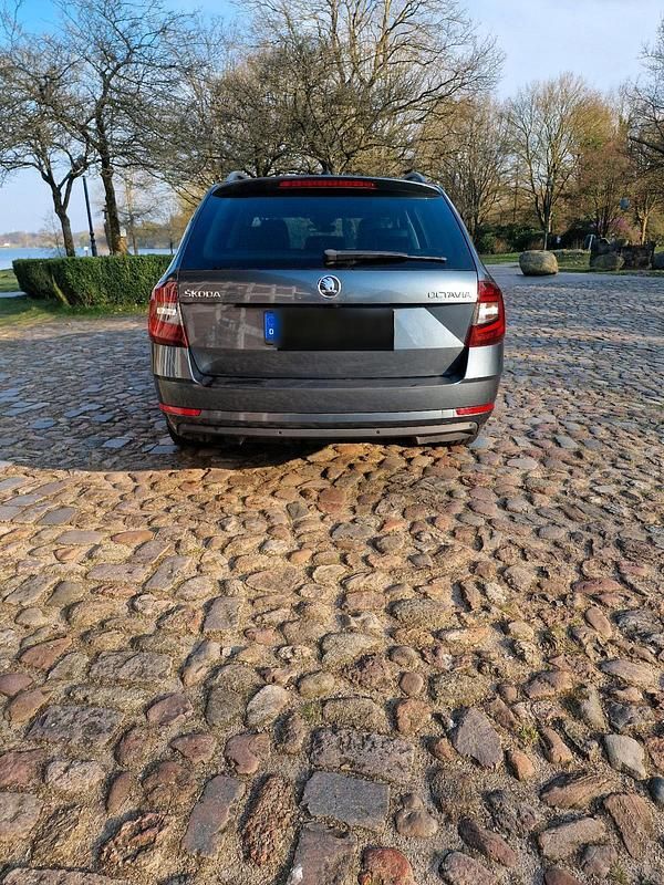 Gebraucht Skoda Octavia 116 PS (85 kW) 2017 Grau Kombi