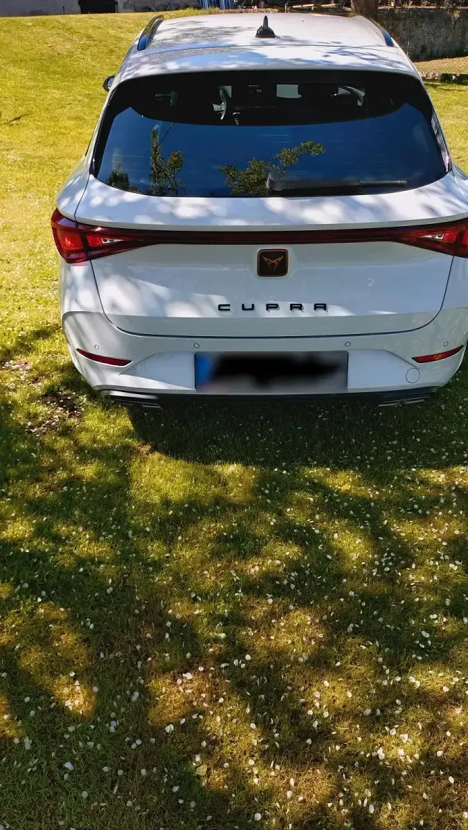 Gebraucht Cupra Leon 190 PS (139 kW) 2024 Weiß Kombi