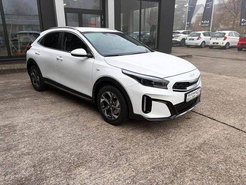 Neu Kia XCeed 116 PS (85 kW) 2025 Weiß SUV