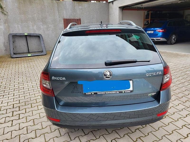 Gebraucht Skoda Octavia G-TEC Style 110 PS (80 kW) 2018 Grau Kombi
