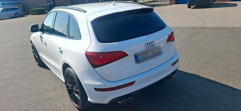Gebraucht Audi SQ5 Competition 326 PS (239 kW) 2017 Weiß SUV
