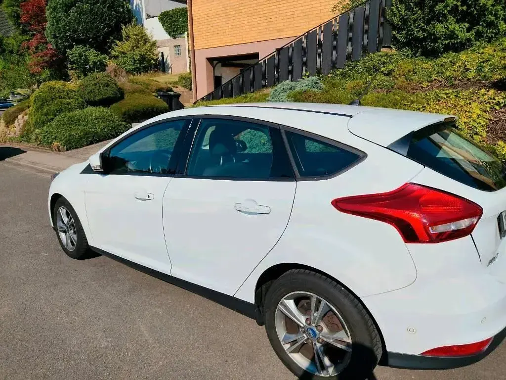 Gebraucht Ford Focus 120 PS (88 kW) 2017 Weiß Limousine